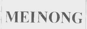MEINONG