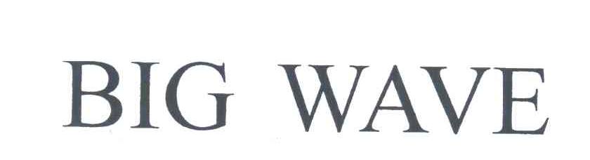 BIG WAVE