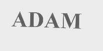 ADAM