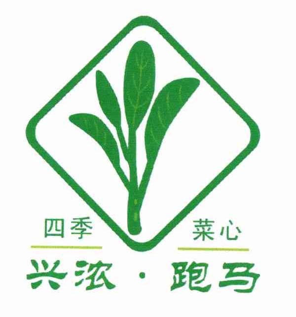 兴浓&middot;跑马 四季 菜心