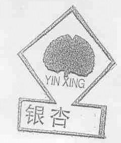 银杏