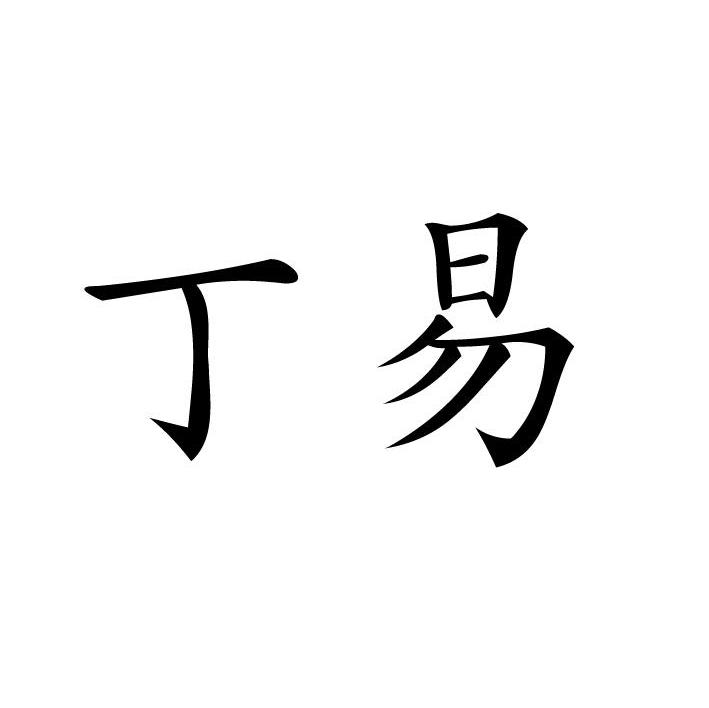 丁易