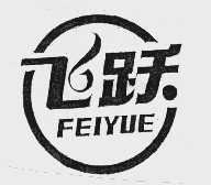 飞跃