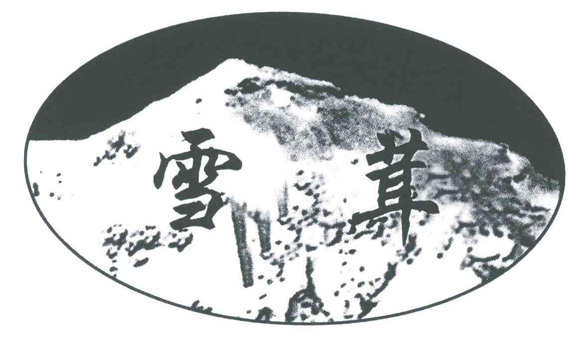 雪茸