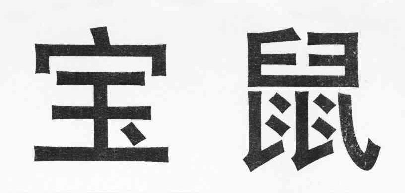 宝鼠