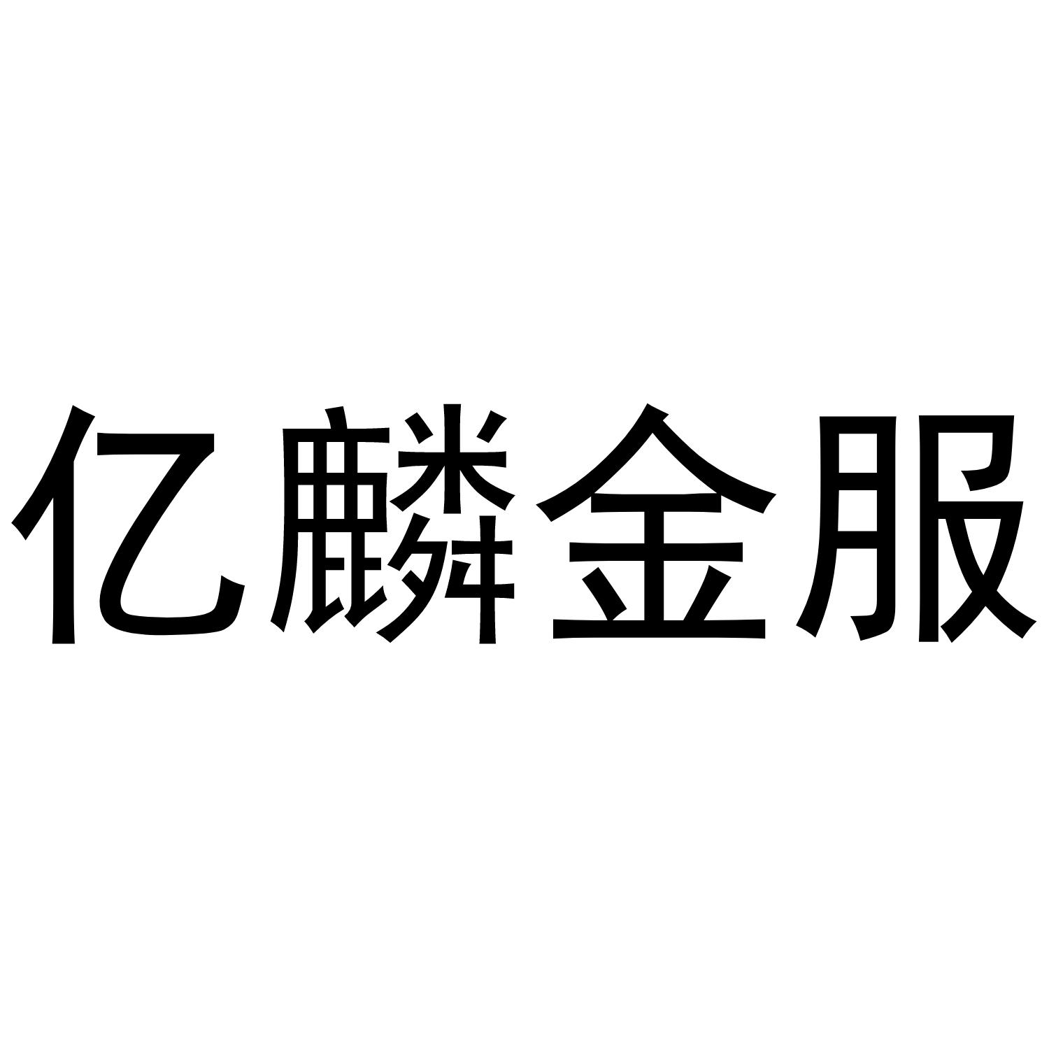 亿麟金服