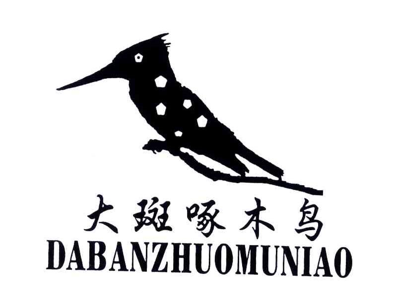 大斑啄木鸟