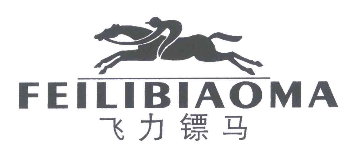 飞力镖马