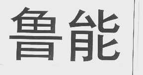 鲁能