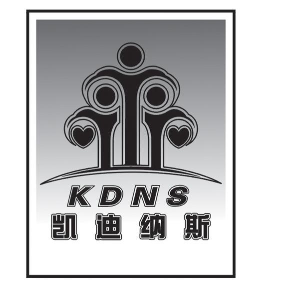 凯迪纳斯;KDNS