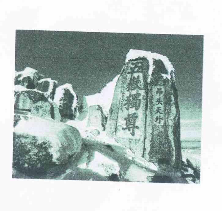 五岳独尊昂头天外