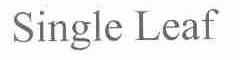 SINGLE LEAF