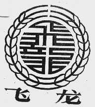 飞龙