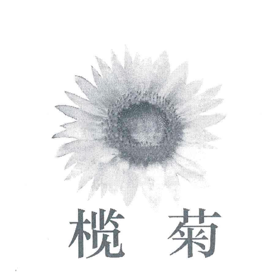 榄菊
