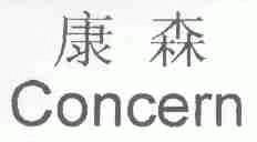 康森;CONCERN