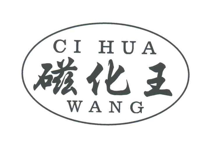 磁化王