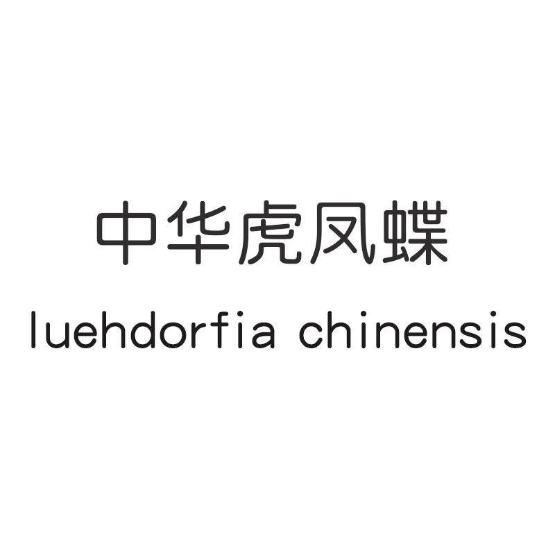 中华虎凤蝶 LUEHDORFIA CHINENSIS