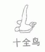 十全鸟
