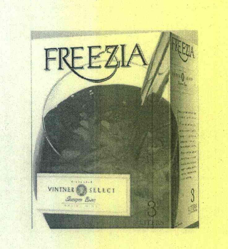 FREZIA