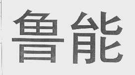 鲁能