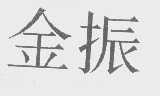 金振