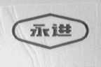 永进