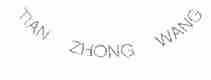 TIAN ZHONG WANG