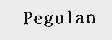 PEGULAN