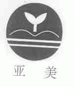 亚美