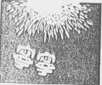 宁宁