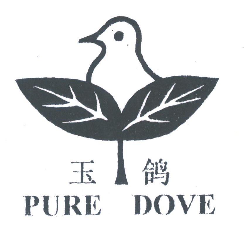 玉鸽;PURE DOVE