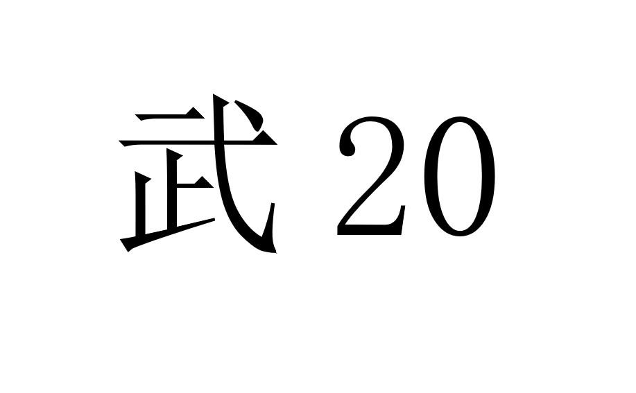 武20