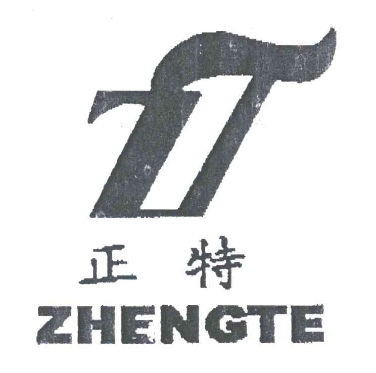 正特