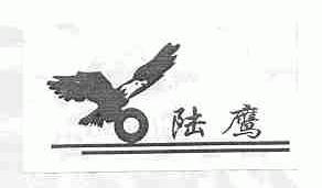 陆鹰