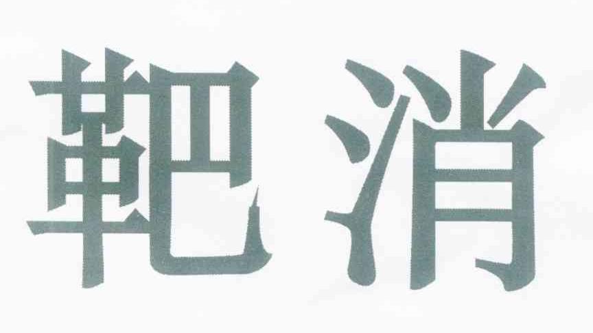 靶消