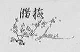腊梅