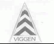 VIGGEN