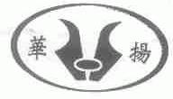 华扬