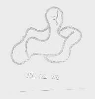 姬迷思