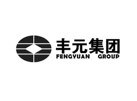 丰元集团;FENGYUAN GROUP