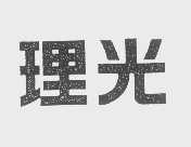 理光