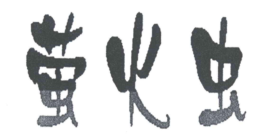 萤火虫