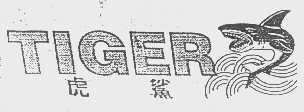 虎鲨   TIGER