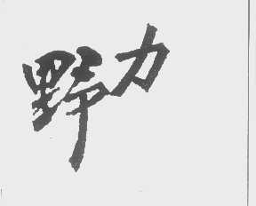 野力