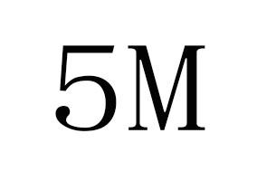 5M