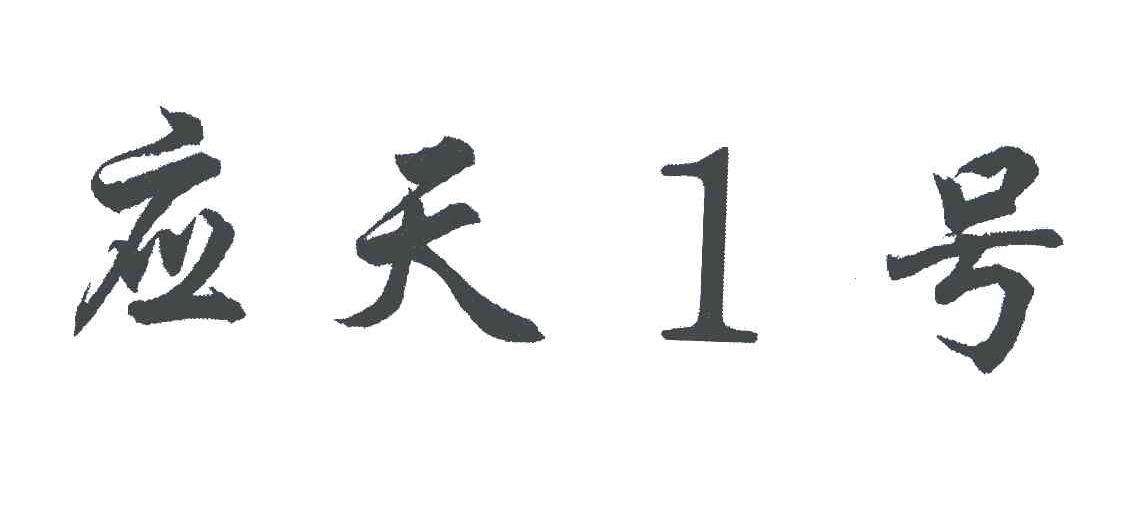 应天1号