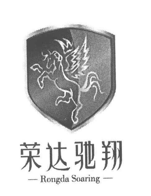 荣达驰翔 RONGDA SOARING