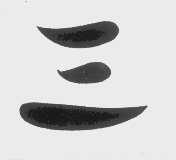三