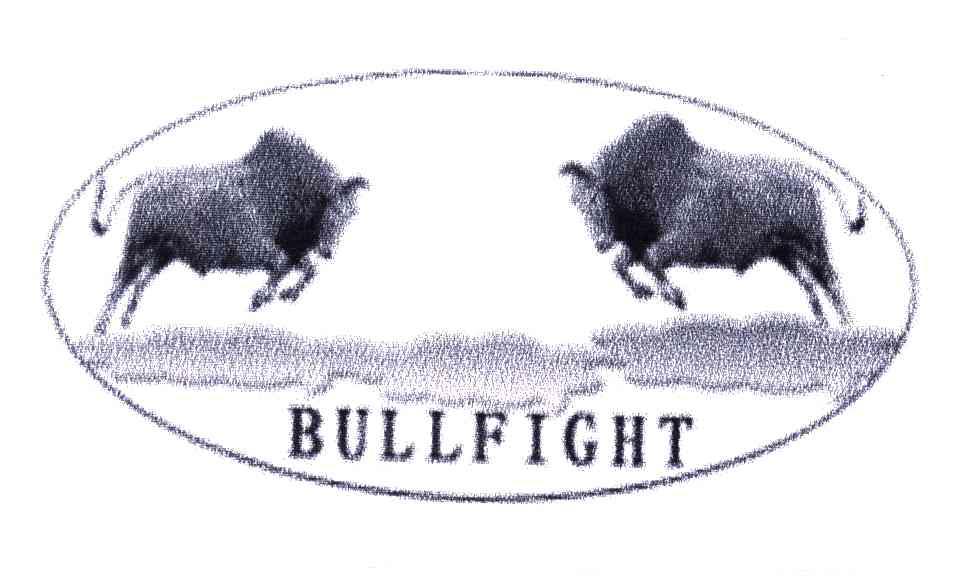 BULLFIGHT