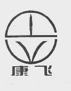 康飞